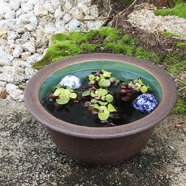 信楽焼 睡蓮鉢 メダカ鉢 おしゃれ めだか鉢 陶器 水鉢 ビオトープ