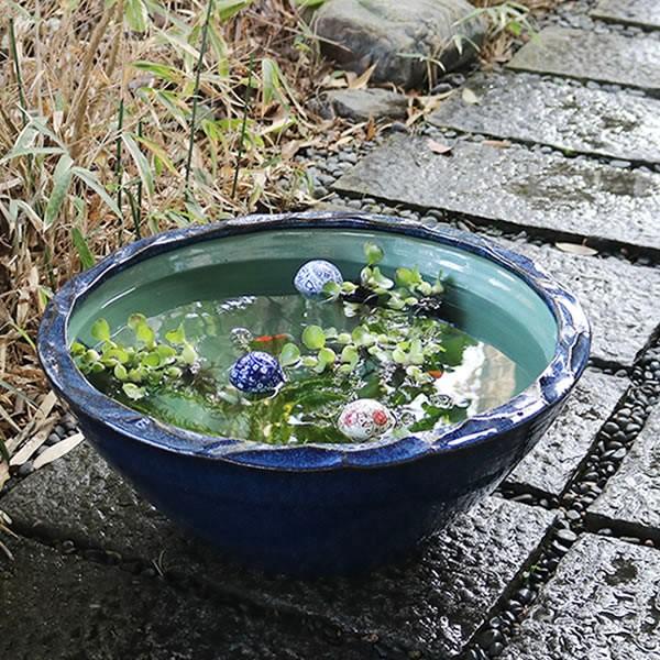 信楽焼 睡蓮鉢 メダカ鉢 おしゃれ めだか鉢 陶器 水鉢 ビオトープ
