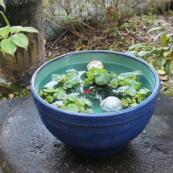 信楽焼 睡蓮鉢 メダカ鉢 おしゃれ めだか鉢 陶器 水鉢 ビオトープ