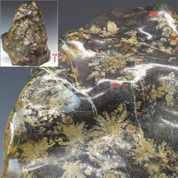 趣楽】 希少 国産 天然特大菊花石 高さ49cm 重量45，1kg 本物