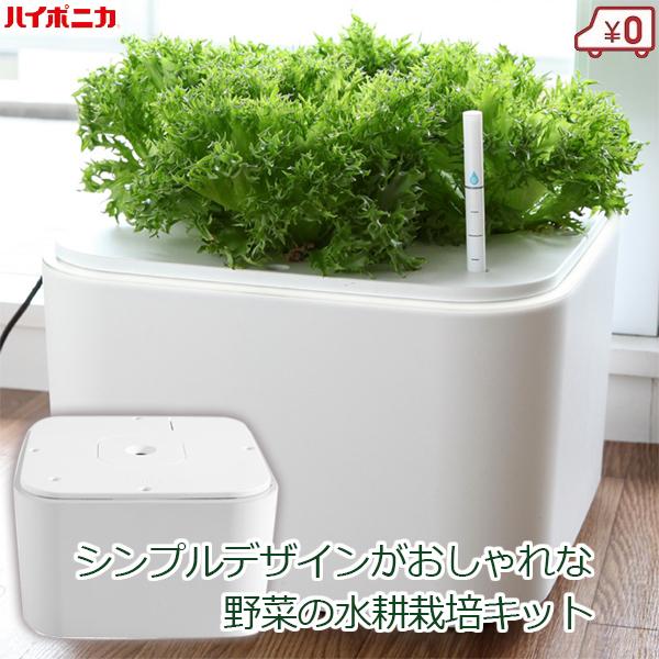 水耕栽培キット 家庭用 家庭菜園 水耕栽培 セット 室内 屋内 野菜