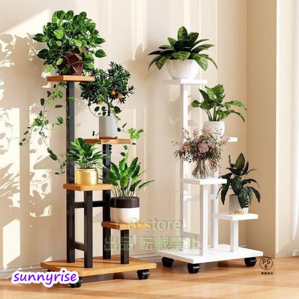 sunnyrise_p210096332efc