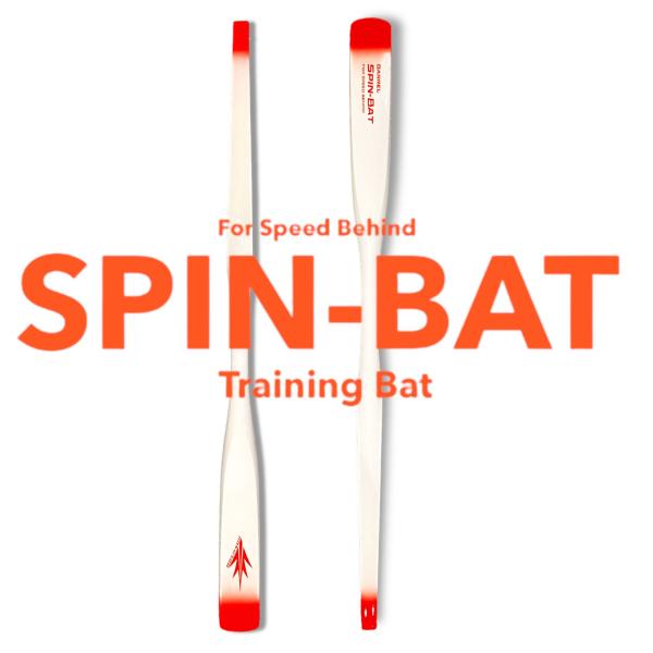 sports-agility_spinbat