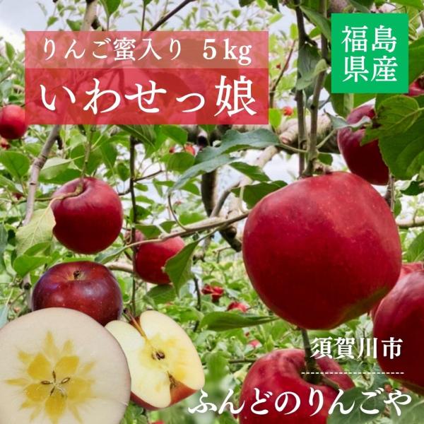 りんご 【ふんどのりんごや】 オリジナル品種 いわせっ娘 5kg 16〜18個