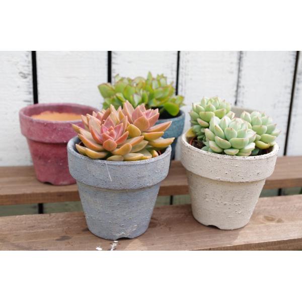 portobellomarket_re039