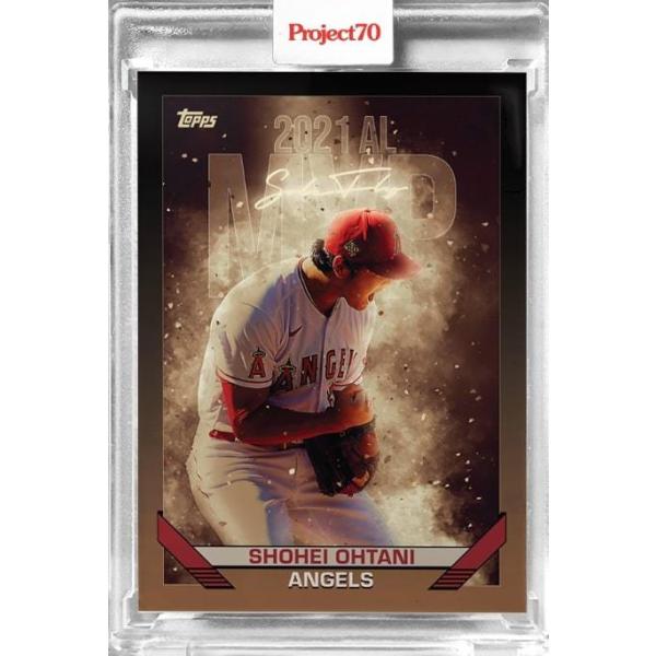 pandb-store_2022-002