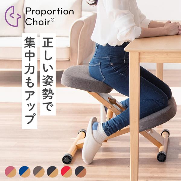 宮武製作所 プロポーションチェア 学習椅子 姿勢矯正 バランスチェア