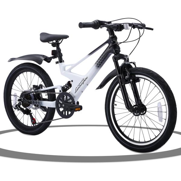 panther-bicycle_lbk007-20
