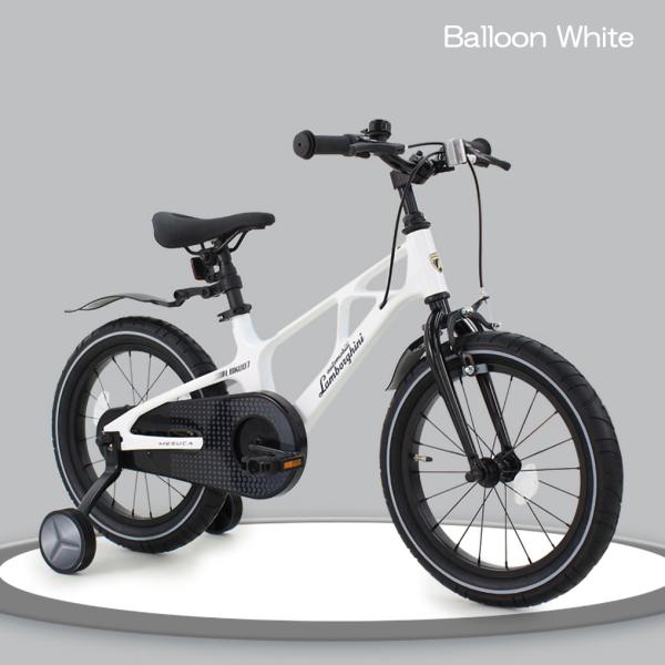 panther-bicycle_lamborghini16