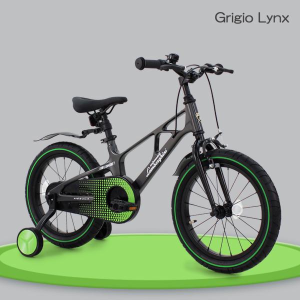 panther-bicycle_lamborghini18