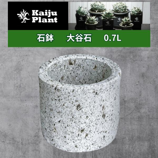 park-market_pakumake-kj-011