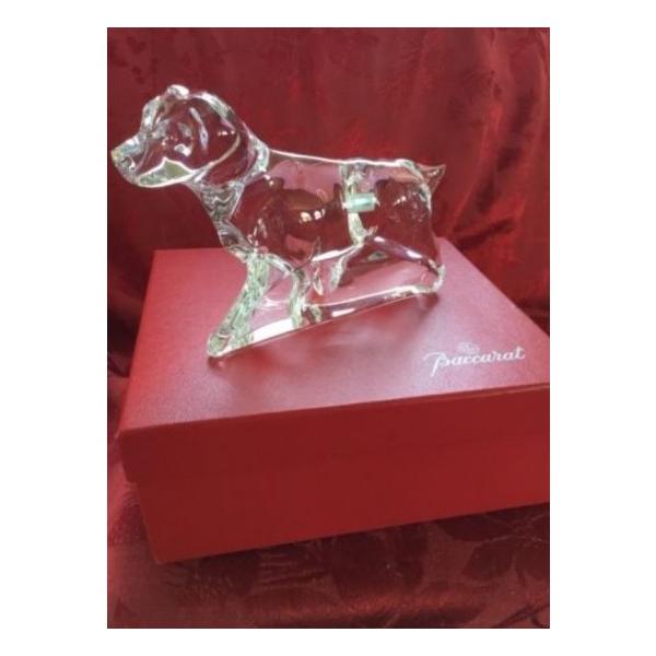 バカラ（Baccarat） 『ドッグ 犬 ラブラドール POINTER Labrador