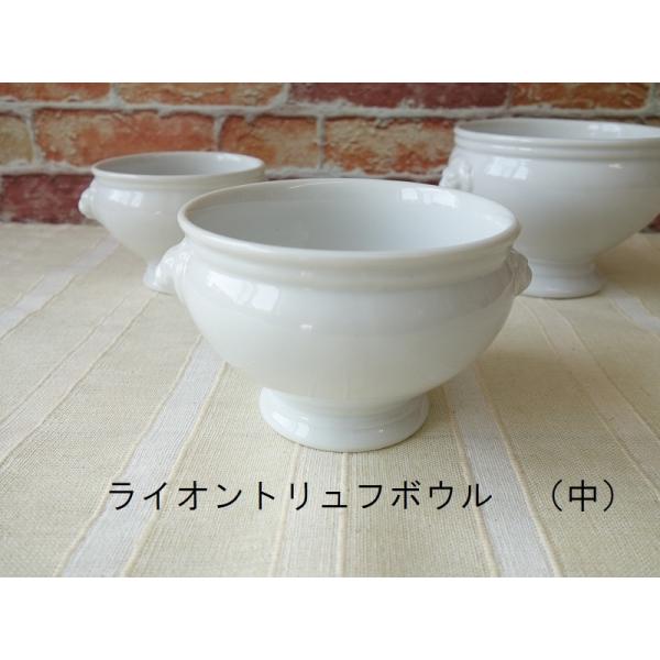 わけあり ライオンヘッド トリュフボウル 10cm 中 レンジ可 食洗機対応