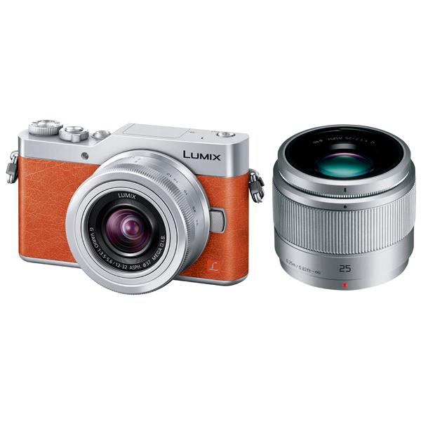 Panasonic（パナソニック） 中古 1年保証 美品 Panasonic LUMIX GF9