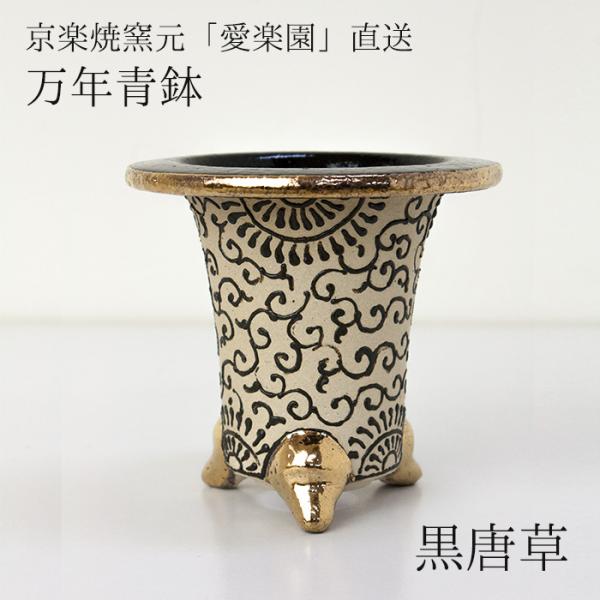 ◇京楽焼窯元「愛楽園」直送◇『万年青鉢（おもと鉢） 黒唐草』 3.0号