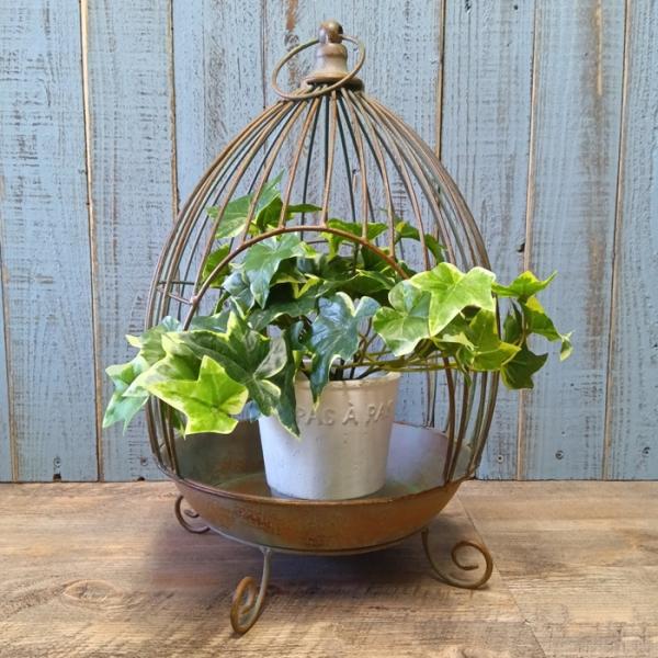 ガーデニング 雑貨 プランツケージ バードケージ 鳥かご 庭 ガーデン