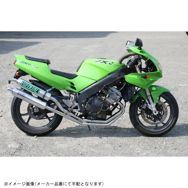 RPM アールピーエム 1021 RPM-DUAL(右2本出し) ZXR250/R('89-'99