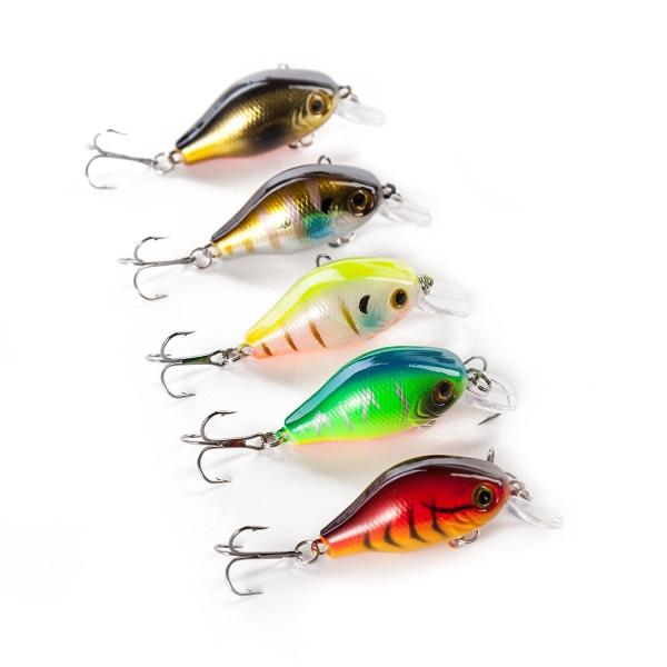 worlddepartyafuu_qb100121a01n0