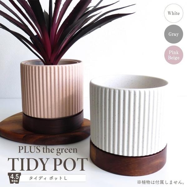 wanold-shop_10000615