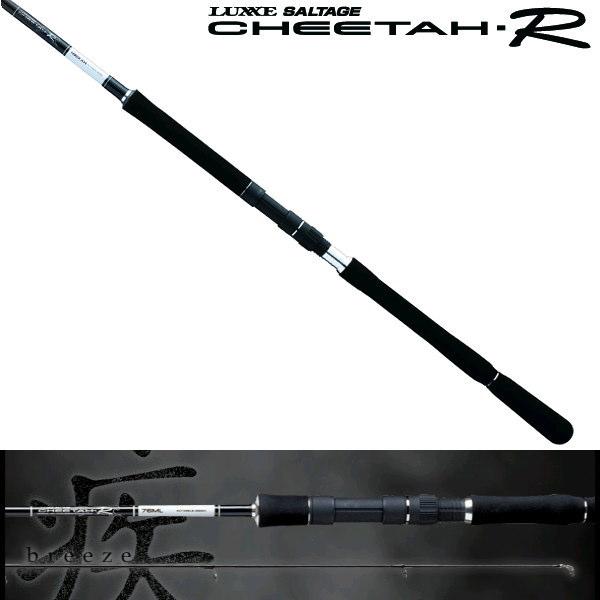 Gamakatsu（がまかつ） (ショアジギング) ラグゼ ソルテージ チータR