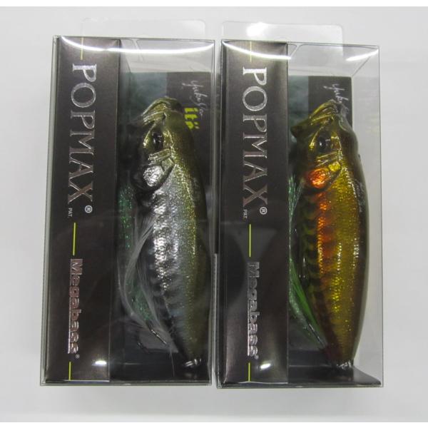 windsweb2_mega-popmax-dragonfish