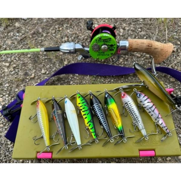 windsweb2_frog-doublefrotorfinlive