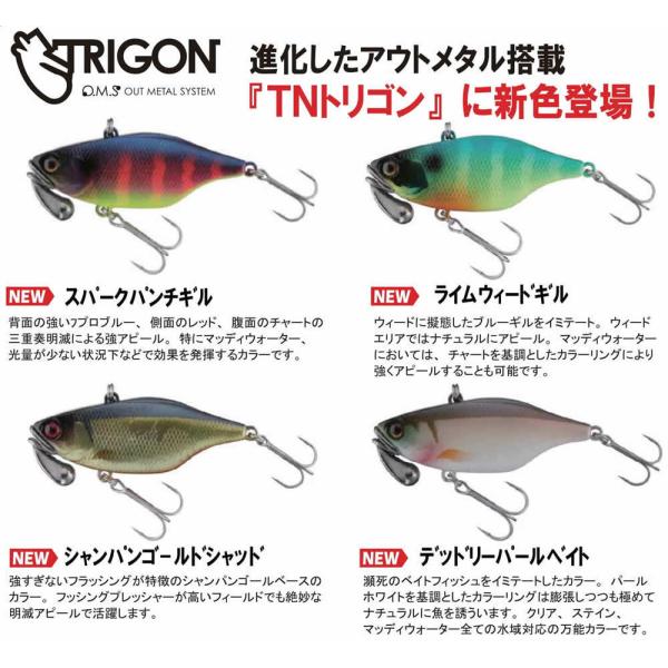 windsweb2_jk-tn70trigon-2020