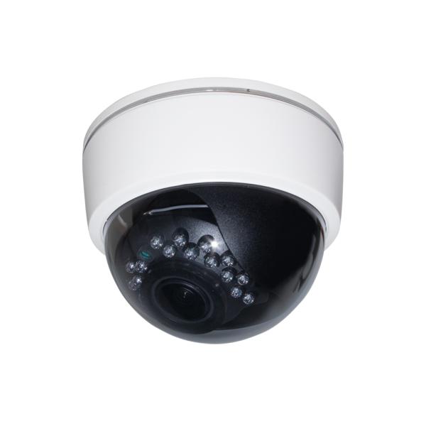 WTW 塚本無線 【WTW-BDDR219WGX】防犯カメラ ドーム型 内蔵アンテナ