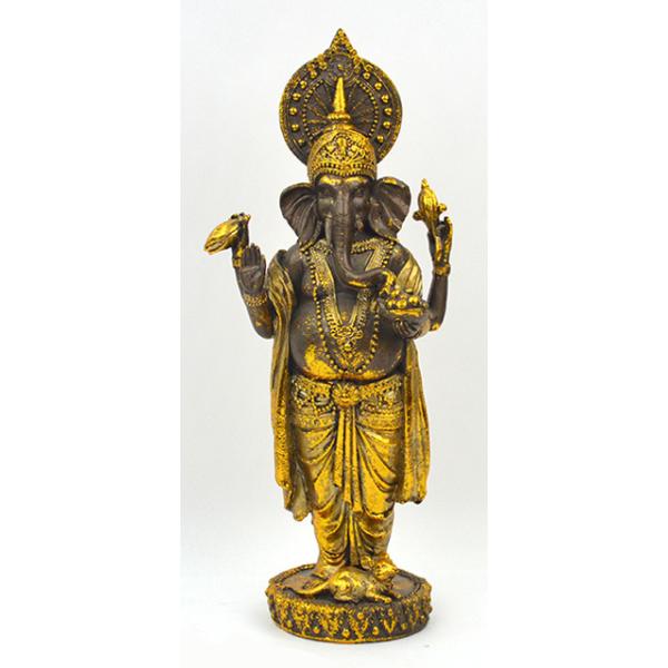 towakouribu_san-t18186