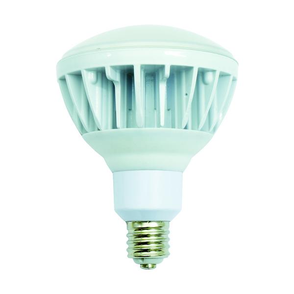 日動 NICHIDO 投光器用LED交換球 ハイスペックエコビック40W E39 昼