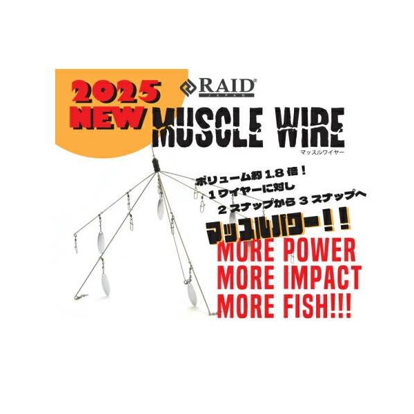 RAID JAPAN（レイドジャパン） マッスルワイヤー : 池袋タックル