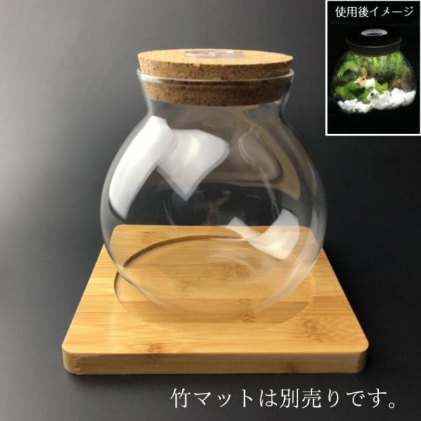 ガラス容器 LEDライト内蔵コルク蓋付き 小サイズ ガラスボトル
