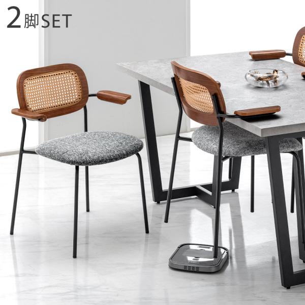 タンスのゲン ダイニングチェア おしゃれ 北欧 ラタンチェア 2脚