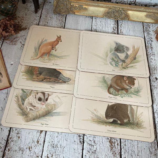 VINTAGE ≫ニュージーランド製ヴィンテージ未使用*JASONジェイソン