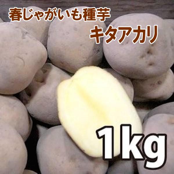 野菜・種/苗［春植えジャガイモ種芋］北海道産 キタアカリ きたあかり