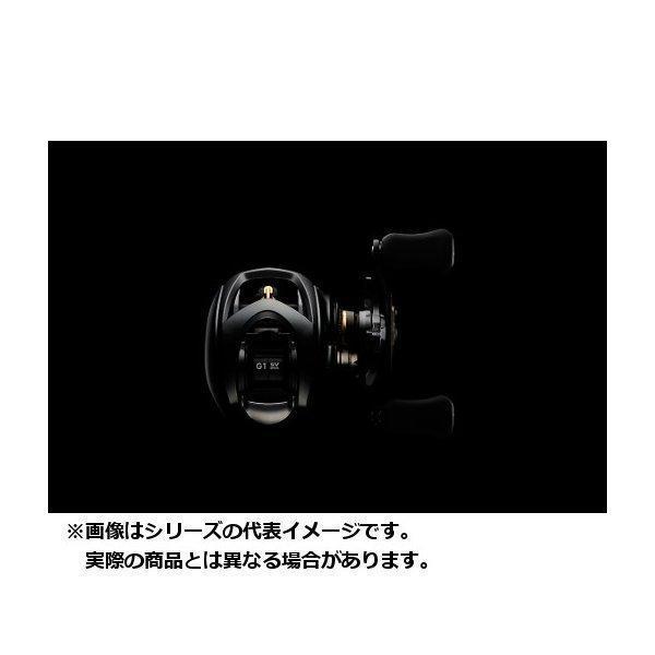 DAIWA（ダイワ） 19 STEEZ(スティーズ) CT SV TW 700XHL(左) : つり具