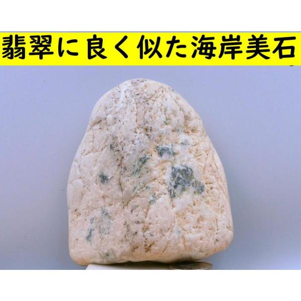 翡翠に良く似た希少海岸美石・標本・置物 615g : 姫川薬石季節の山菜
