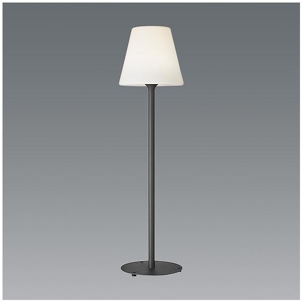 yagyu-jusetsu_endo-erf2059ha