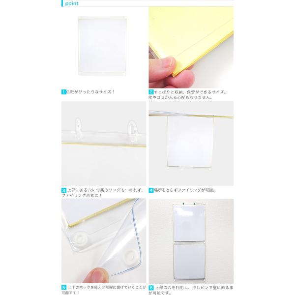 大】サイン色紙収納・保管ホルダーカバー 2枚入り ファイリング用