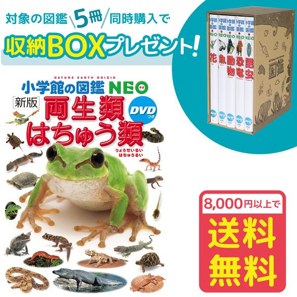 小学館の図鑑NEO［新版］両生類・はちゅう類 DVDつき（収納BOX付・送料