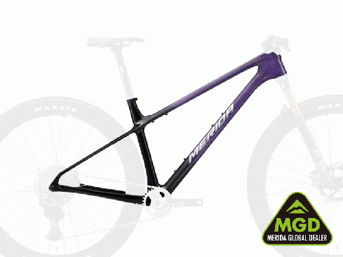 マウンテンバイク自転車の通販なら伊丹のカンザキ