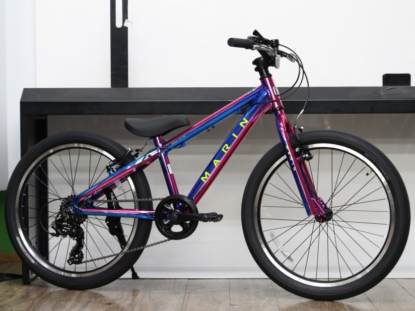 2025 MARIN (マリン) DONKY JR 22 LIMITED (ドンキージュニア 22