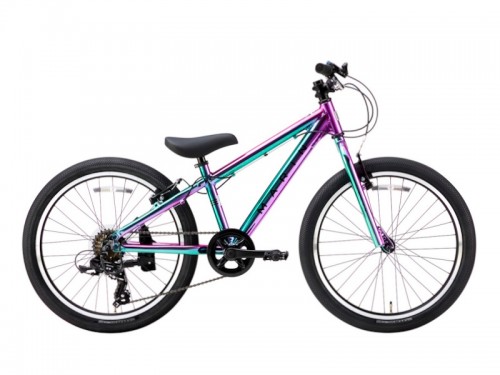 2026 MARIN (マリン) DONKY JR 22 LIMITED (ドンキージュニア 22