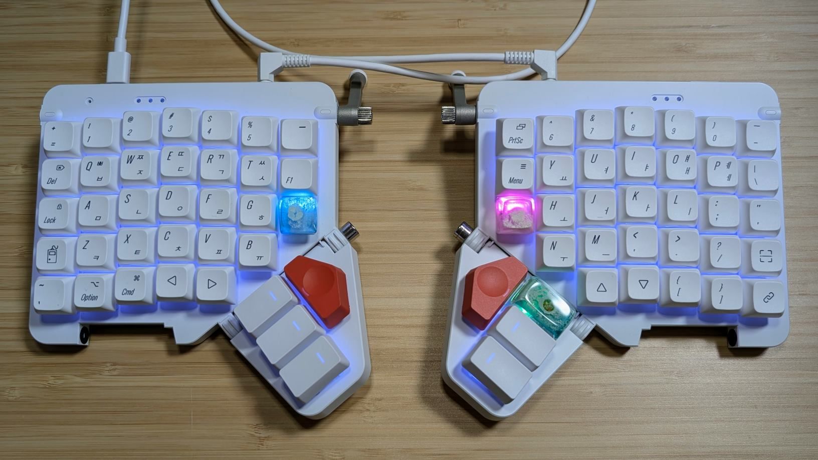 ZSA Moonlander 2カ月: 親指キーとの格闘を経て得た、肩凝りからの解放