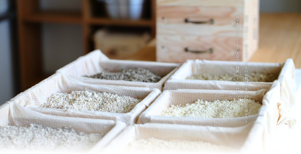 Discovery Tradition in Japan #01 日本麹クリエイター協会 鈴木