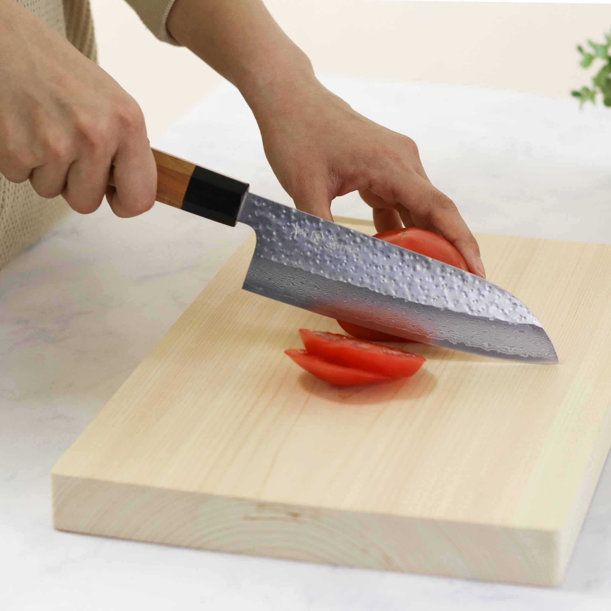 EH-YH-9_13.jpg?crop=center&