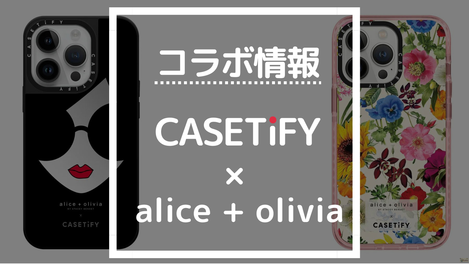 最新版】CASETiFY alice + olivia（アリス アンド オリビア）コラボの