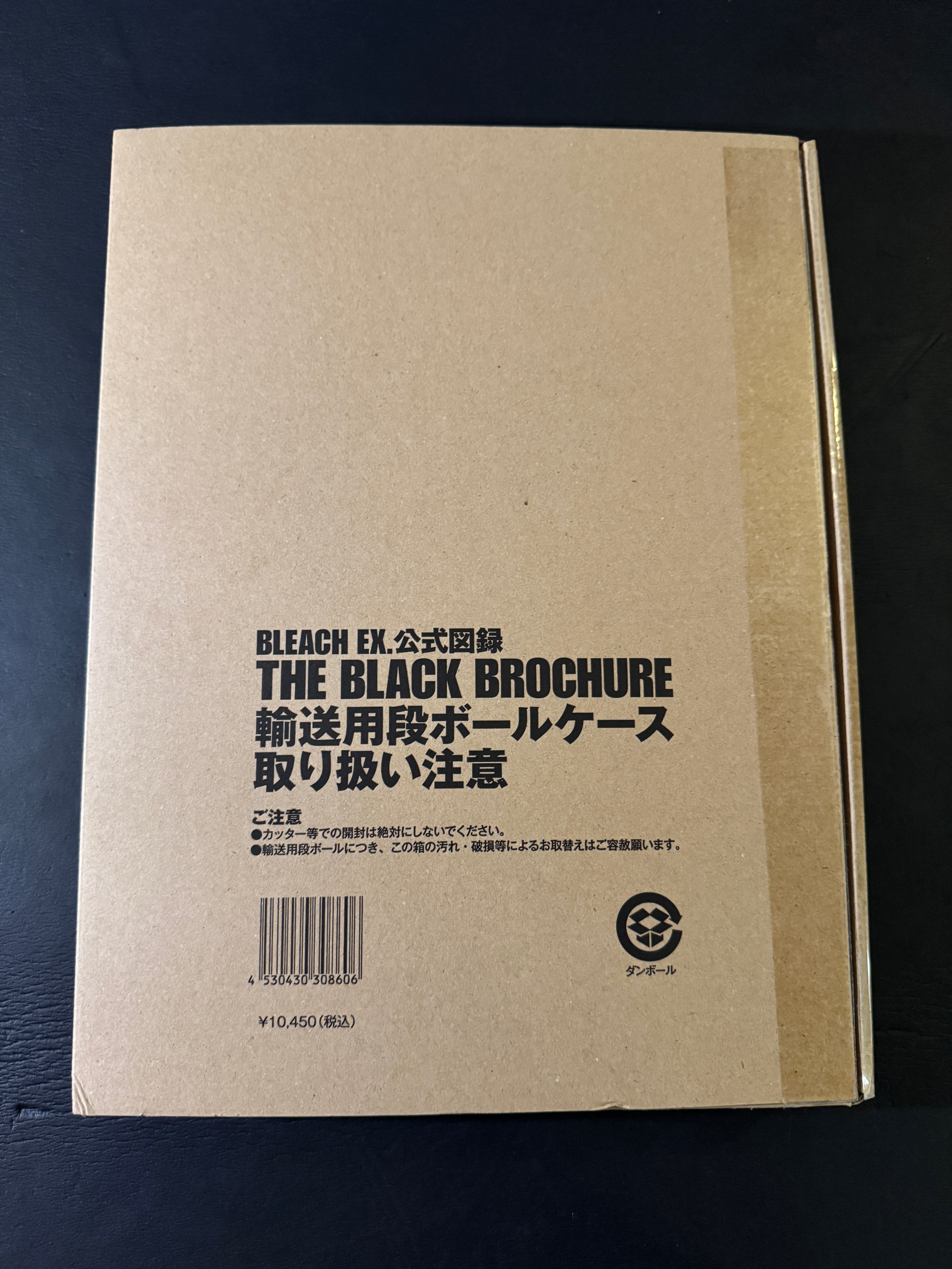 BLEACH EX. THE BLACK BROCHURE – JAPANESE AVANT-GARDE BOOKS