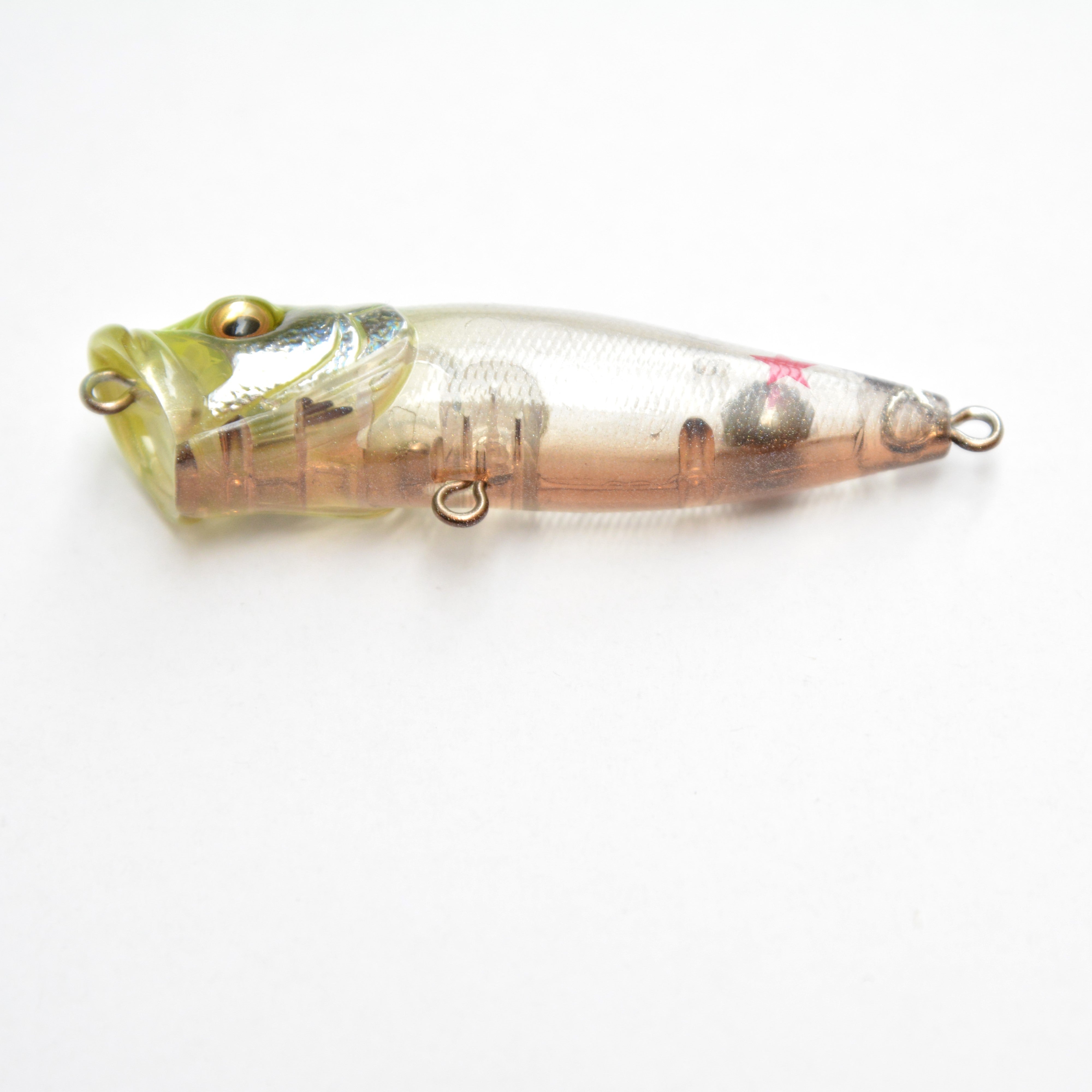 Basser ALLSTAR CLASSIC 2025 – JAPAN ANGLERS STORE