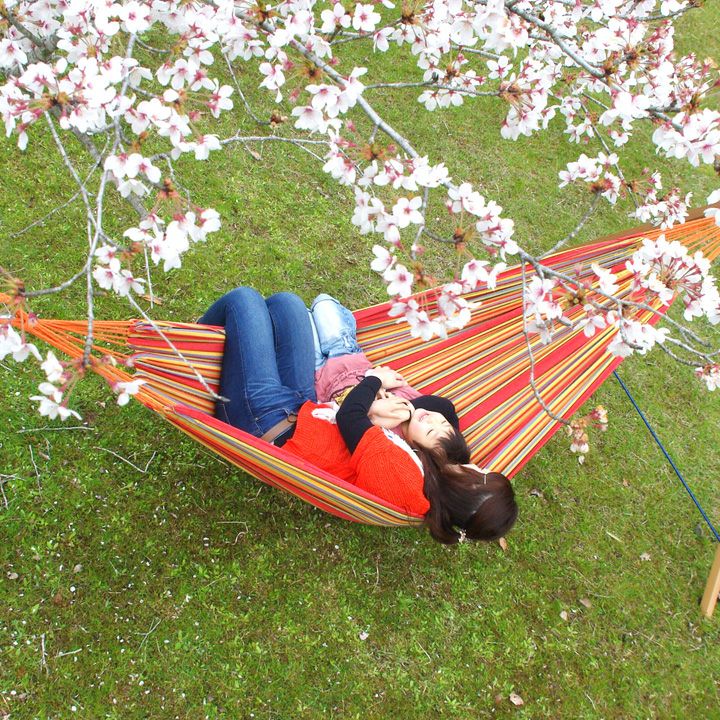 000000000673-01.jpg?size=l&w=